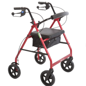 Aspire Mini Seat Walker